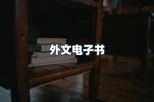 外文电子书
